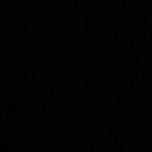 Meet your Posher, Sophia